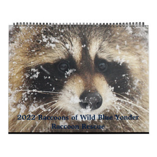 Calendario 2022  Wild Blue Yonder Raccoon Rescue  