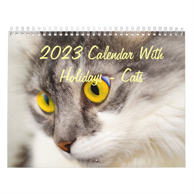 Calendario 2023 Calendar With Holidays - Cats (Tapa)