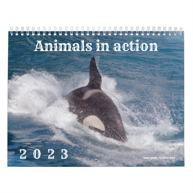 Calendario 2023 de animales en acción (Tapa)