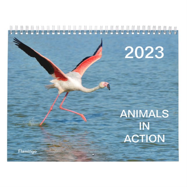 Calendario 2023 de animales en acción (Tapa)