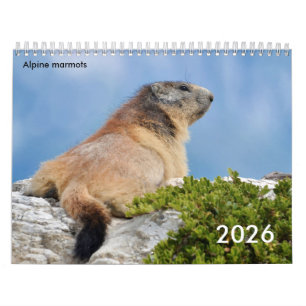 Calendario 2023 de los pantanos alpinos