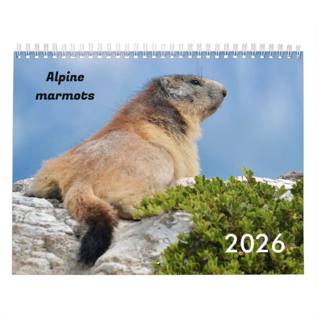 Calendario 2023 de los pantanos alpinos (Tapa)