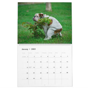 Calendario 2023 de perros con opciones divertidas