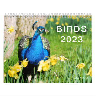 Calendario 2023 de varias aves