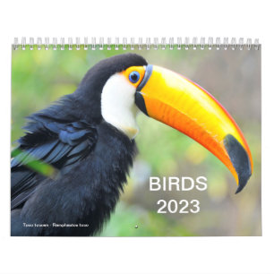 Calendario 2023 de varias aves