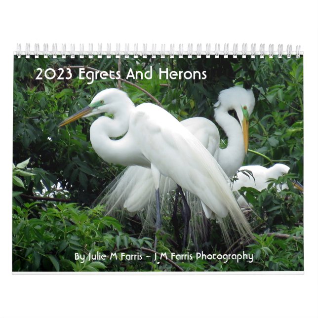 Calendario 2023 Egrets Y Herons 2 (Tapa)