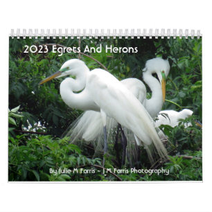 Calendario 2023 Egrets Y Herons 2