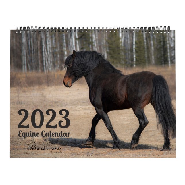 Calendario 2023 Equine Photo Calendar (Tapa)