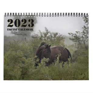 Calendario 2023 Equine Photo Calendar II