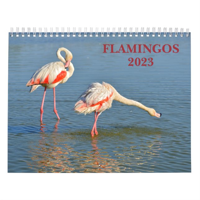 Calendario 2023 Flamingos (Tapa)