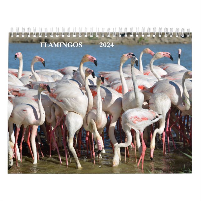 Calendario 2023 Flamingos (Tapa)