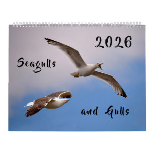 Calendario 2023 Gaviotas y gaviotas