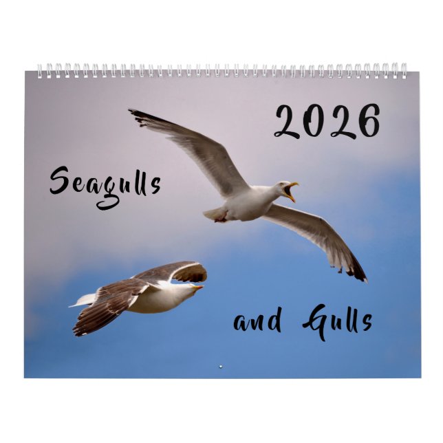 Calendario 2023 Gaviotas y gaviotas (Tapa)