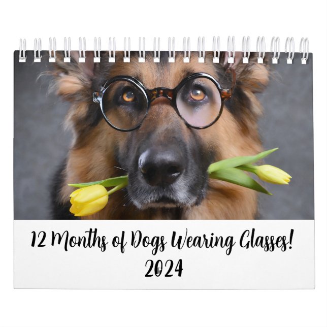 Calendario 2024 12 meses de perros con lentes (Tapa)