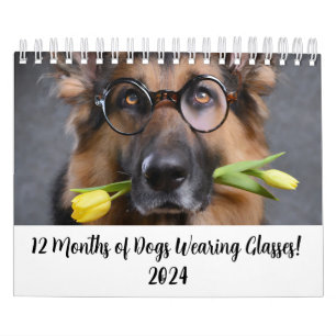 Calendario 2024 12 meses de perros con lentes