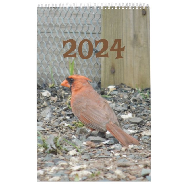 Calendario 2024 Aves de patio trasero (Tapa)