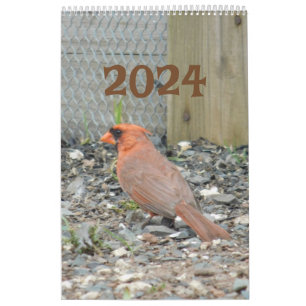 Calendario 2024 Aves de patio trasero