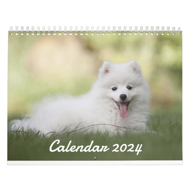 Calendario 2024 Cachorro - Calendario fotográfico  (Tapa)