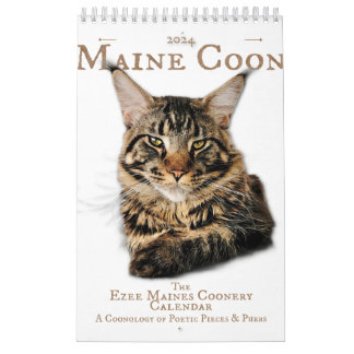 Calendario 2024 Gatos y gatos de Maine Coon, poesí