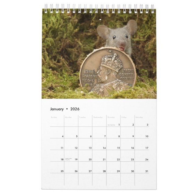 Calendario 2024 George el ratón en un montón de troncos (Jan 2026)