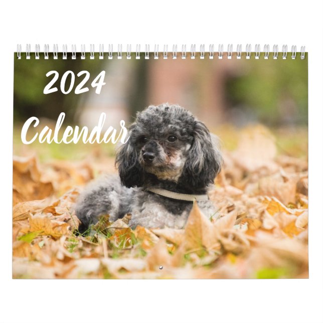 Calendario 2024 Imágenes de perro de caniche con p (Tapa)