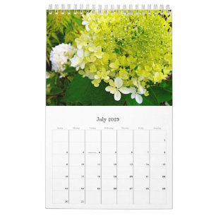 Calendario 2024 My Rubio Garden Elegant Hydrangeas