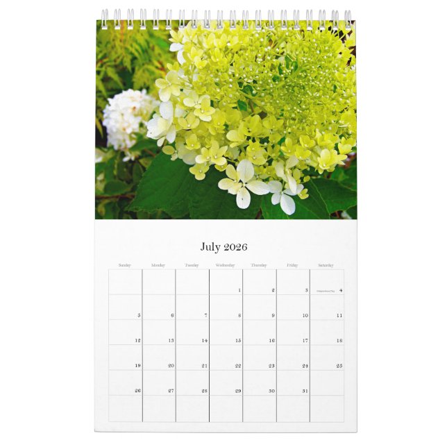 Calendario 2024 My Rubio Garden Elegant Hydrangeas (Jul 2026)