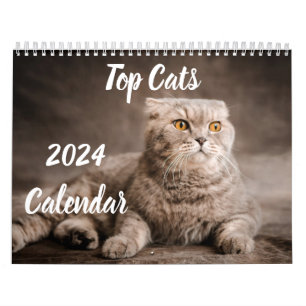 Calendario 2024 Principales Gatos Eventos y Fiesta
