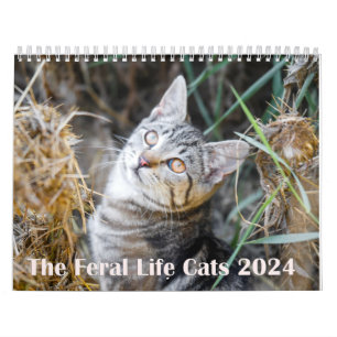 Calendario 2024 Vida Feral 2024 Hermosos Gatos Naturales