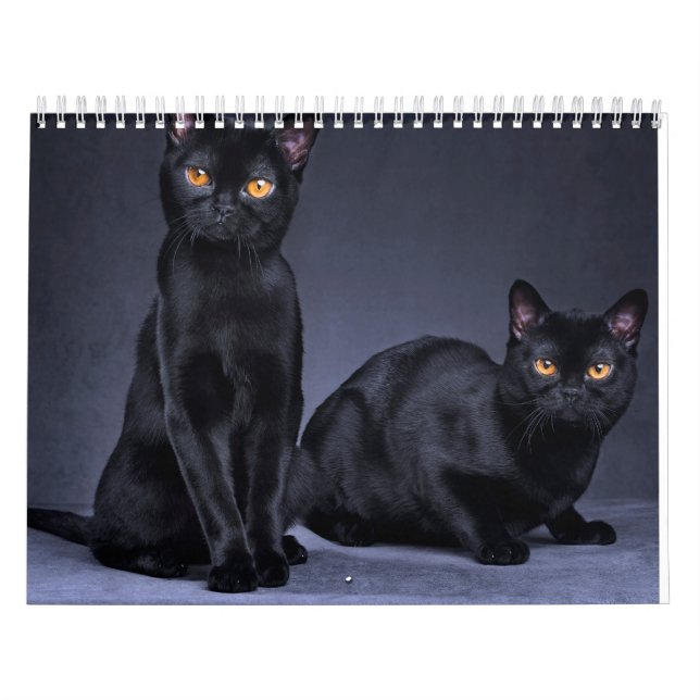 CALENDARIO 2025 (Tapa)