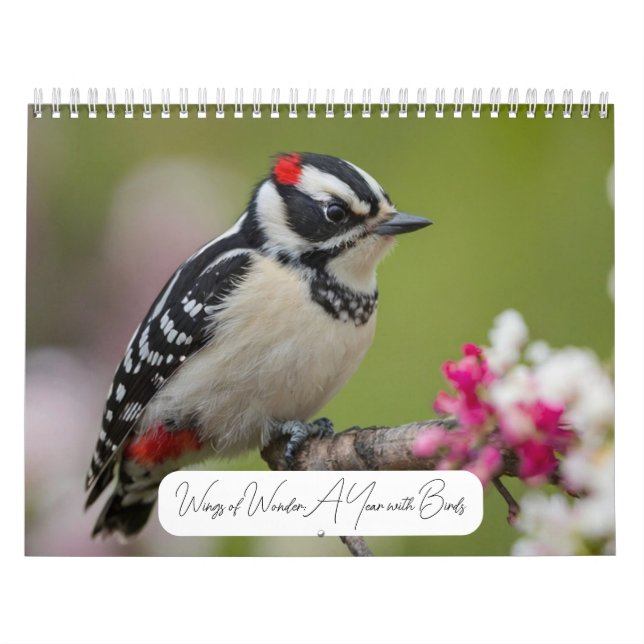 Calendario 2025 A Year with Birds Modern Personalizado Photo (Tapa)