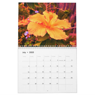 Calendario 2025 con fotografía de Lindsay Strong