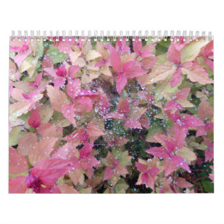 Calendario 2025 con fotos de la naturaleza