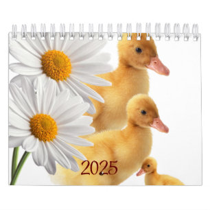 Calendario 2025 Ducks Daisy Floral