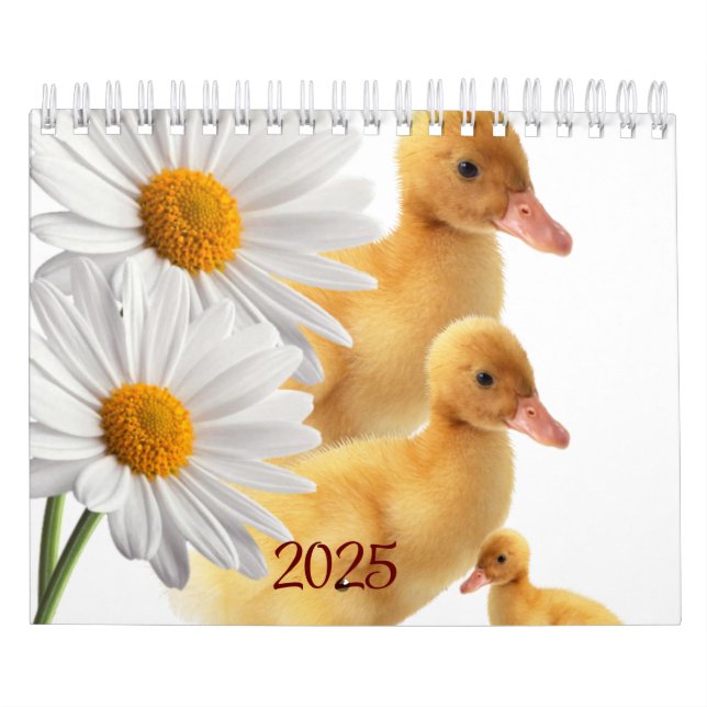 Calendario 2025 Ducks Daisy Floral (Tapa)
