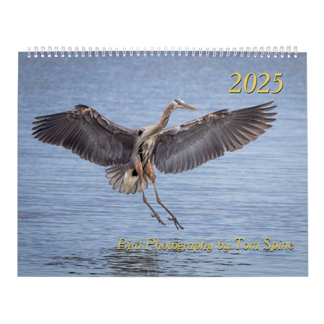 Calendario 2025 - Fotos de aves de Tom Spine (Tapa)
