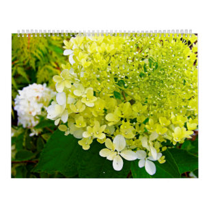 Calendario 2025 My Rubio Garden Elegant Hydrangeas