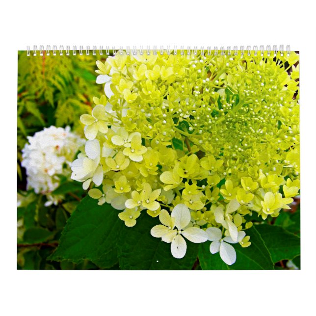 Calendario 2025 My Rubio Garden Elegant Hydrangeas (Tapa)
