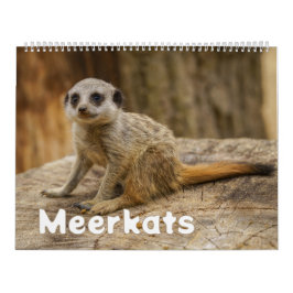 Calendario 2026 A Year with Meerkats