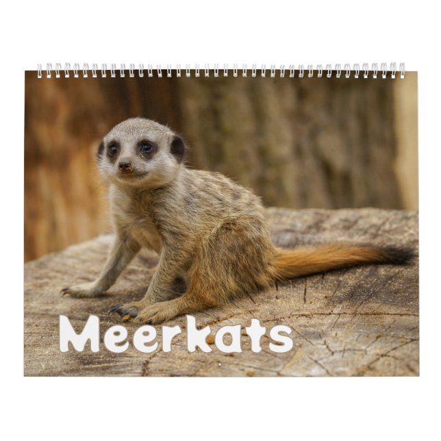 Calendario 2026 A Year with Meerkats (Tapa)