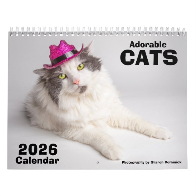 Calendario 2026 Adorable Cats Calendar Photograpghy (Tapa)