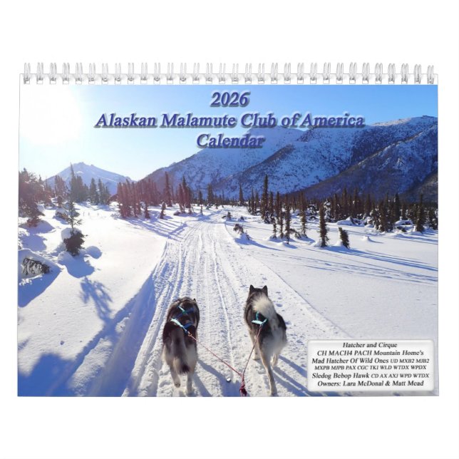 Calendario 2026 Alaskan Malamute Club of America Calendar (Tapa)