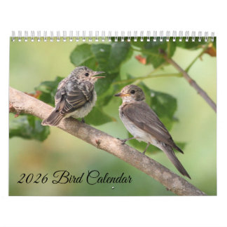 Calendario 2026 Bird Calendar