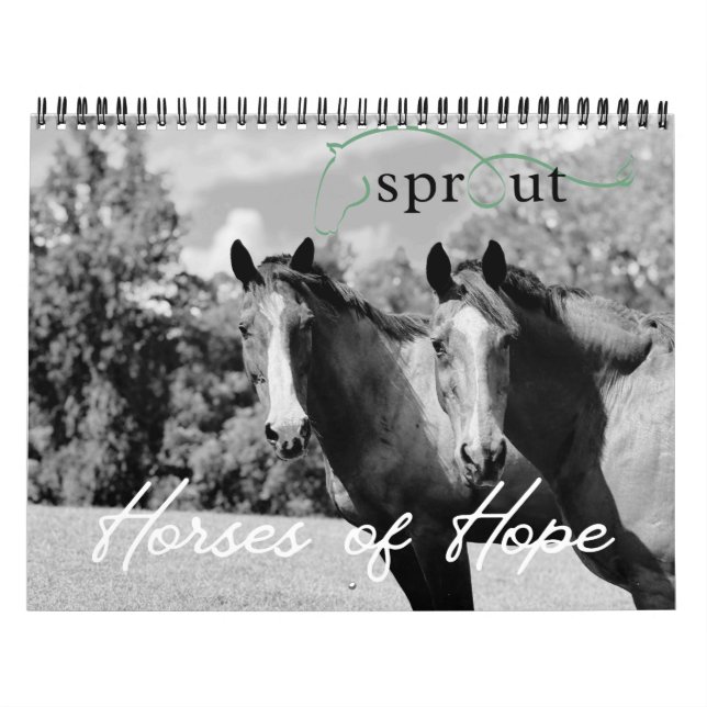 Calendario 2026 Calendar (Tapa)