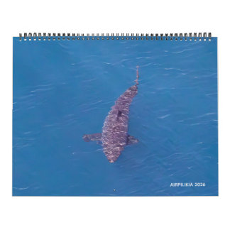 Calendario 2026 Calendar Airpilikia 