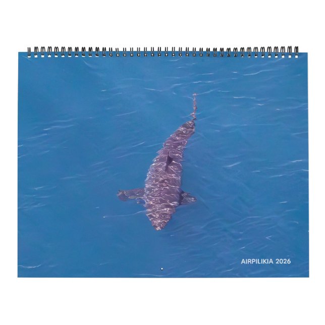 Calendario 2026 Calendar Airpilikia  (Tapa)