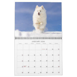 Calendario 2026 CRB Calendar