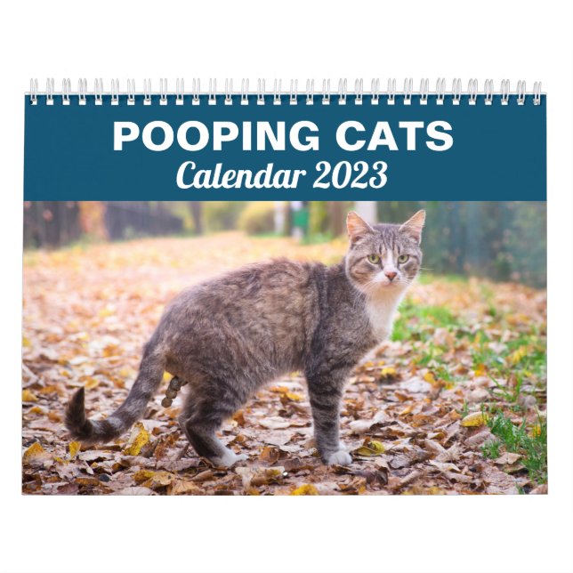 Calendario 2026 de prospección de gatos divertidos (Tapa)