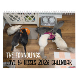 Calendario 2026 Love & Hisses Calendar - the Foundlings