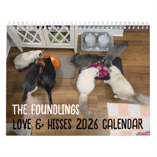 Calendario 2026 Love & Hisses Calendar - the Foundlings (Tapa)